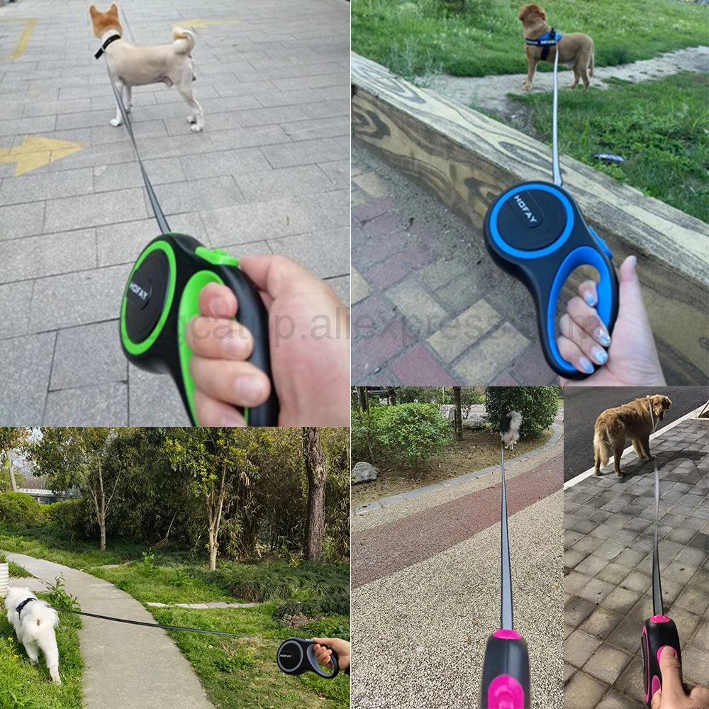 Bicolour Retractable Dog Leash for Large Breeds and Pets