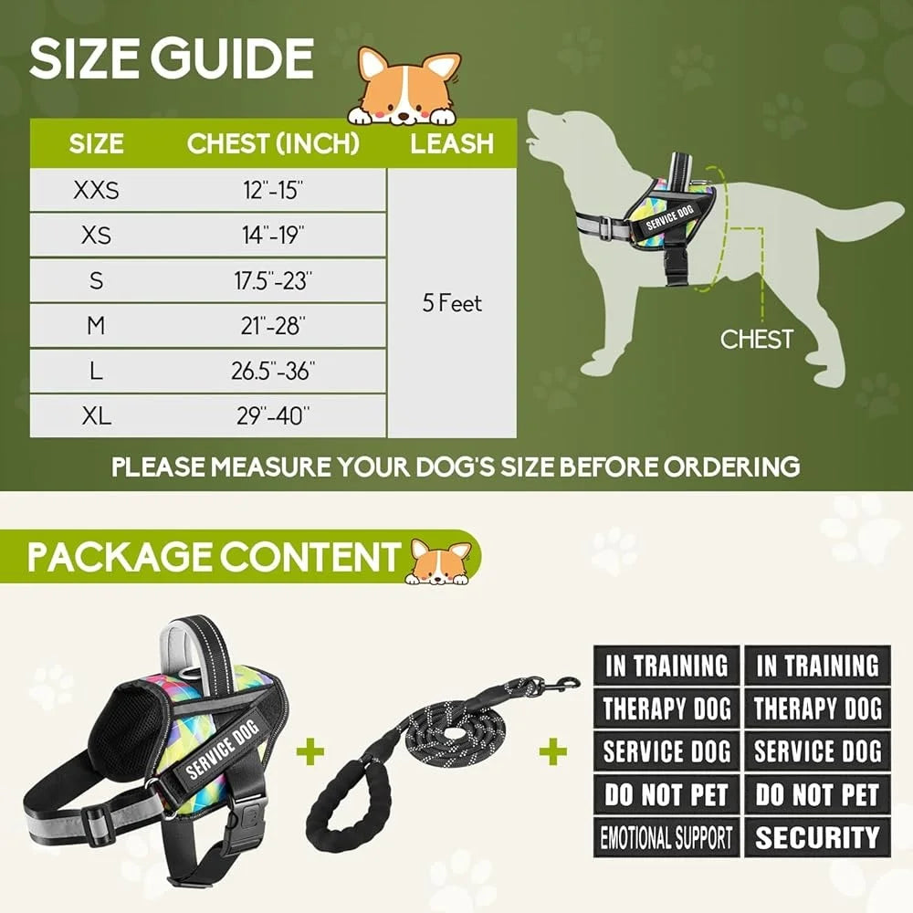 Service Dog Harness Leash Set Reflective No Pull Nylon for Puppies
