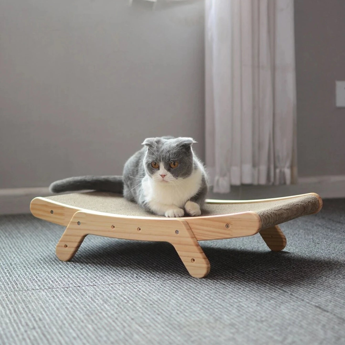 Interactive Durable Wooden Cat Lounge Bed Scratcher and Training Tool