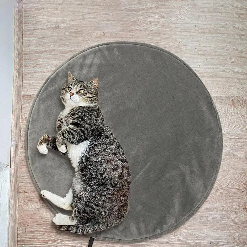 Electric Heated Pad For Dogs Indoor USB Safe Low Voltage Design