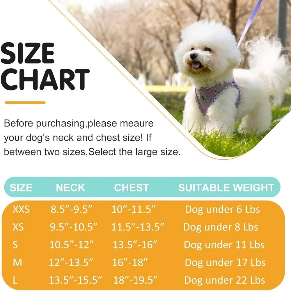 Dog Harness and Leash Set for Small Dogs Lightweight and Breathable Jacquard Fabric
