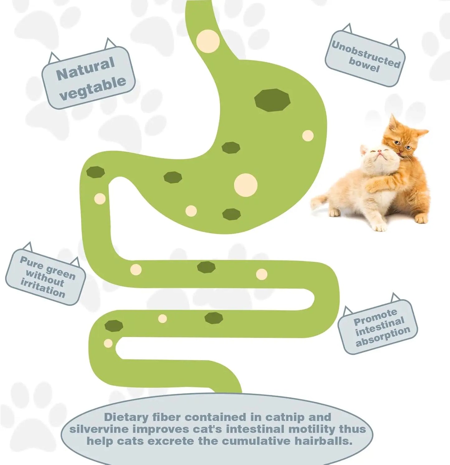 Natural Cat Bite Ball Toy Set for Playful Kittens