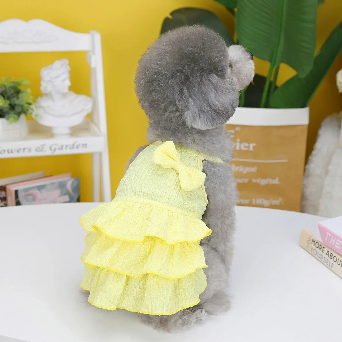 Spring Princess Pet Clothes for Small to Medium Cats and Dogs