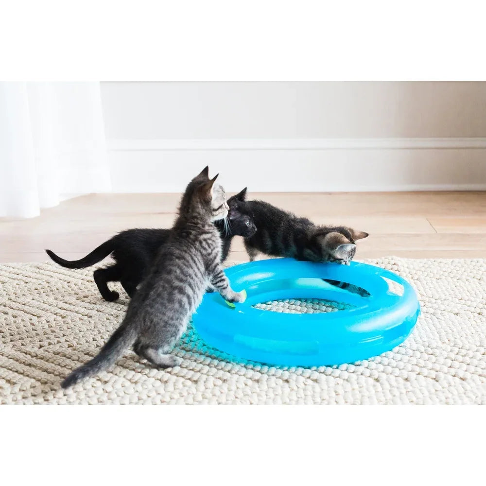 Crazy Circle Interactive Cat Toy for Fun Playtime Exercise