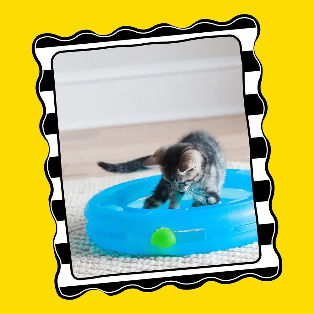 Crazy Circle Interactive Cat Toy for Fun Playtime Exercise