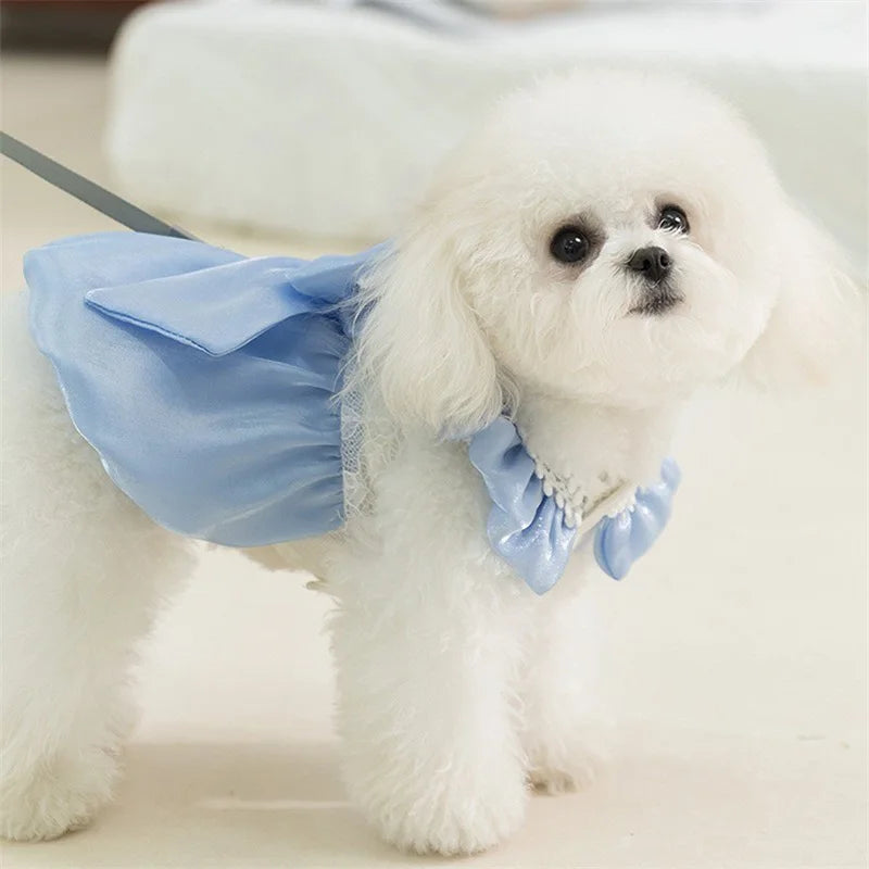 Adorable Dog Tutu Dress with Bowknot for Cute Pets