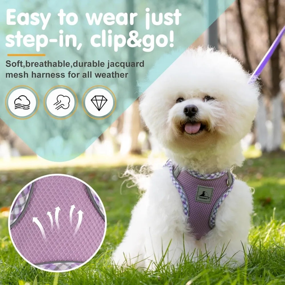 Dog Harness and Leash Set for Small Dogs Lightweight and Breathable Jacquard Fabric