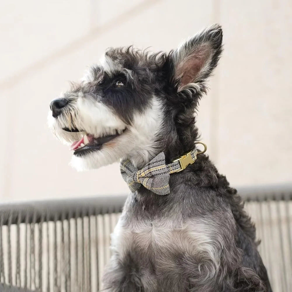 Cute Small Dog Harness Set Adjustable Soft Plaid Collar Leash Bowtie