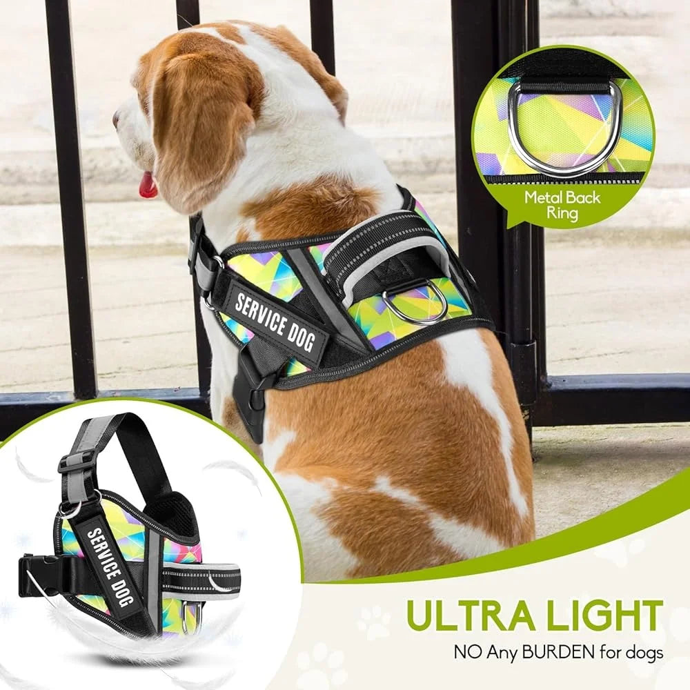 Service Dog Harness Leash Set Reflective No Pull Nylon for Puppies