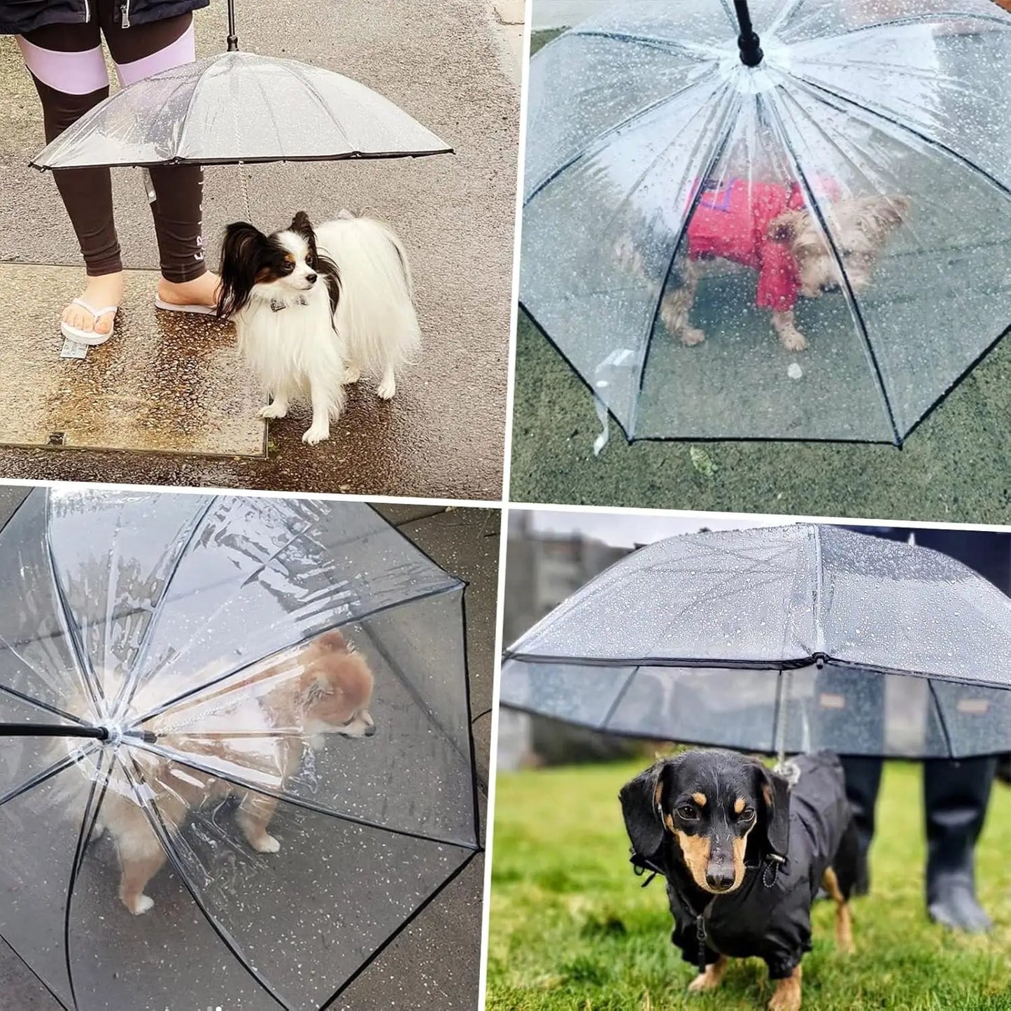 Multi Functional Transparent Dog Umbrella Leash for Puppies