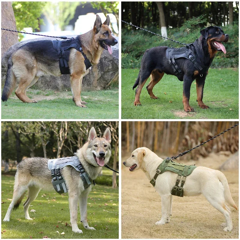 Adjustable Tactical Dog Harness for Medium Large Dogs