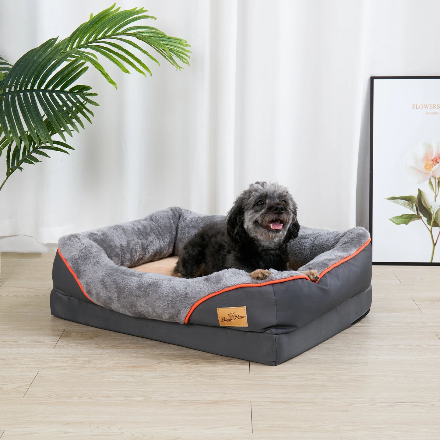 Dog Bed Super Soft Orthopedic Foam with Removable Washable Cover