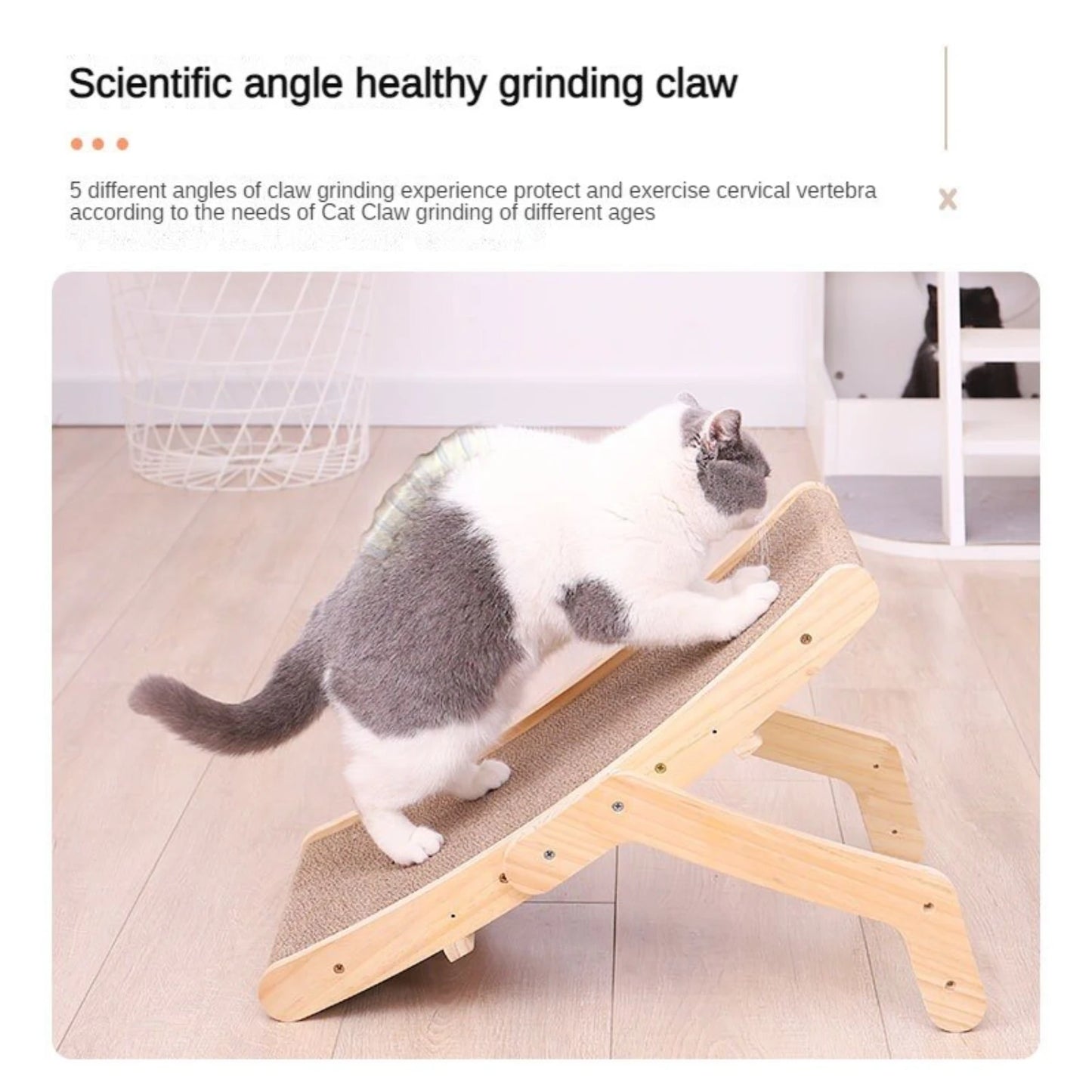 Interactive Durable Wooden Cat Lounge Bed Scratcher and Training Tool