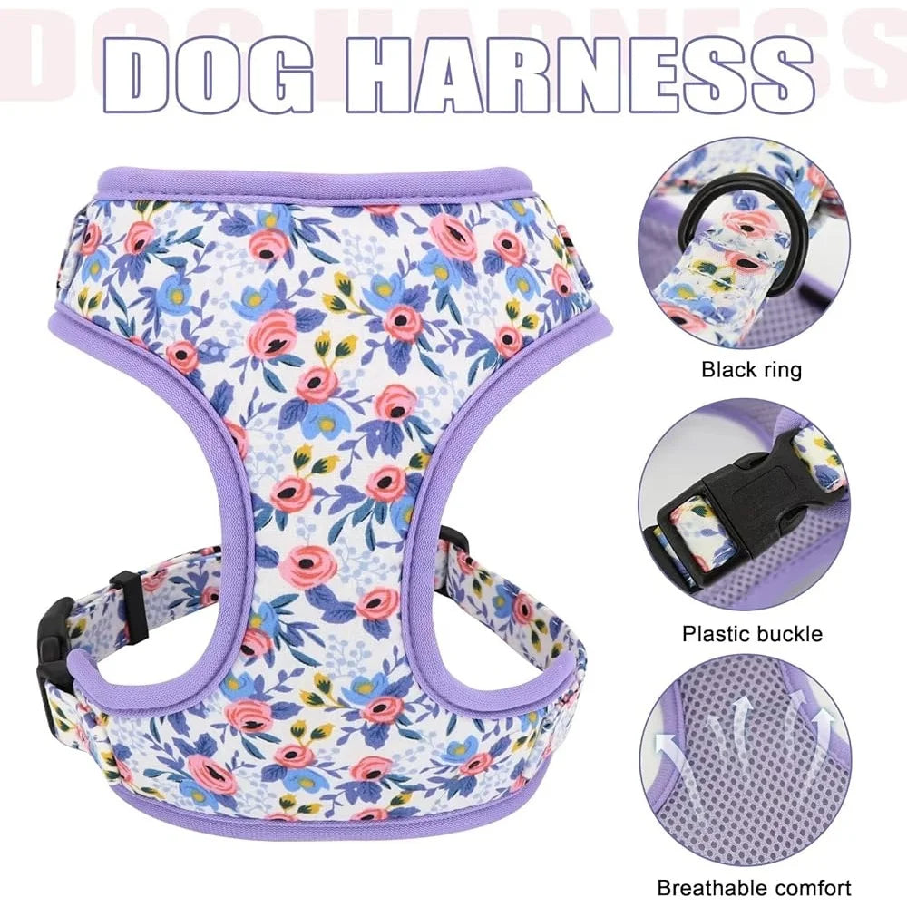 Cute Dog Harness Leash Collar Set Floral Design for Puppies All Seasons