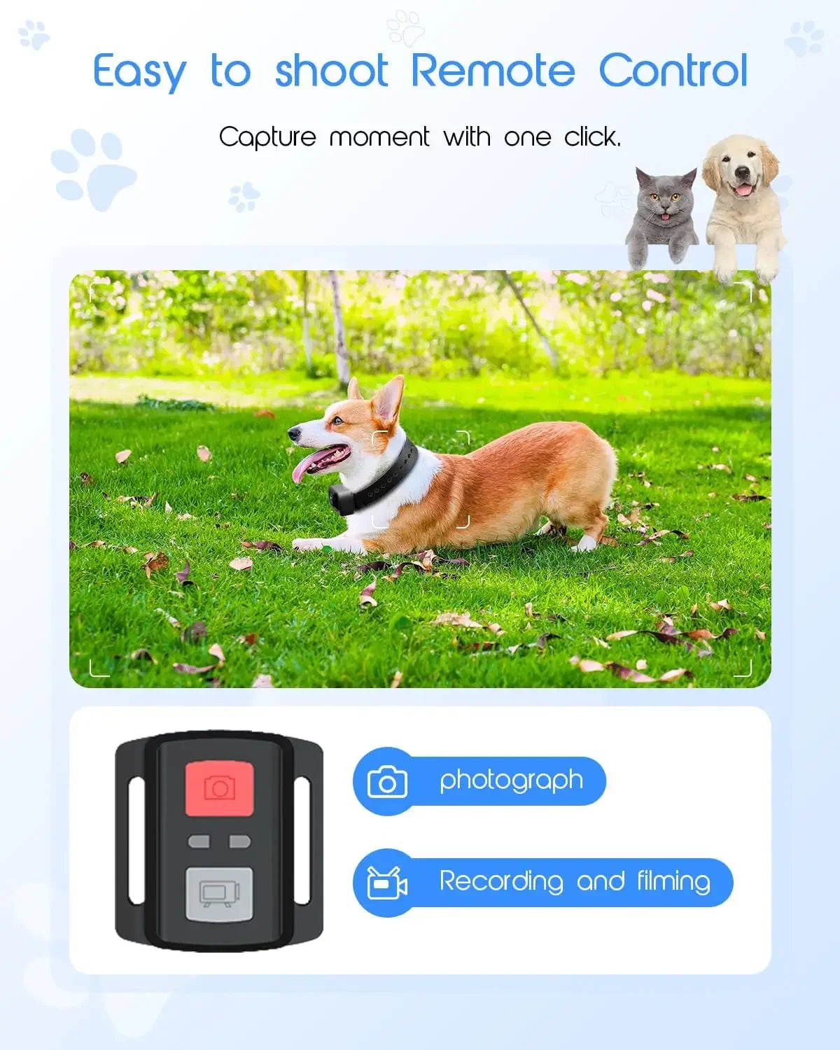 4K HD WiFi Cat Collar Camera With Pet Video Recording