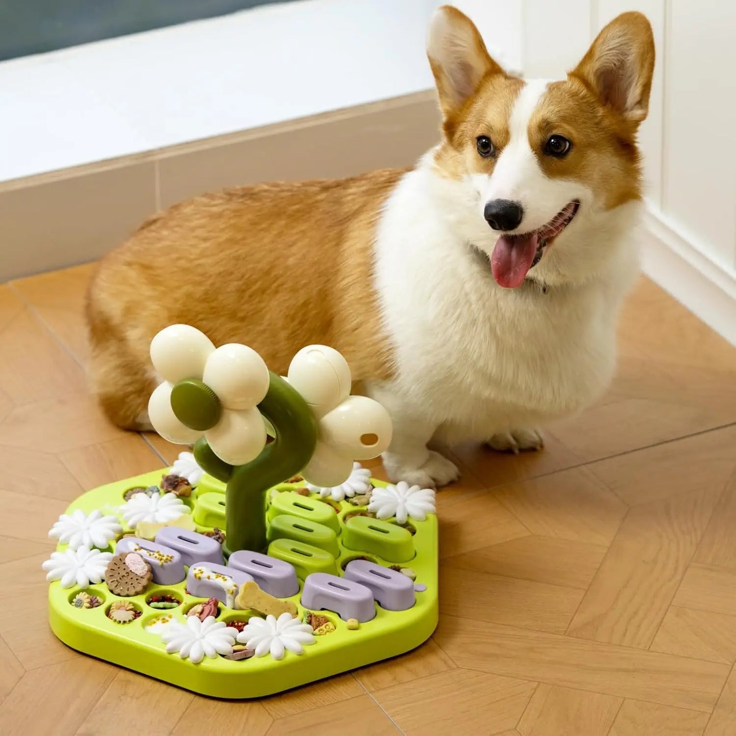MewooFun Level 4 Dog Puzzle Slow Feeder