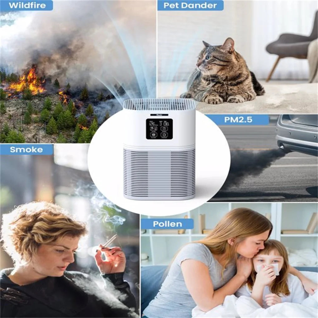 2 In 1 Air Purifier for Home Allergies Pets Odor and Aromatherapy