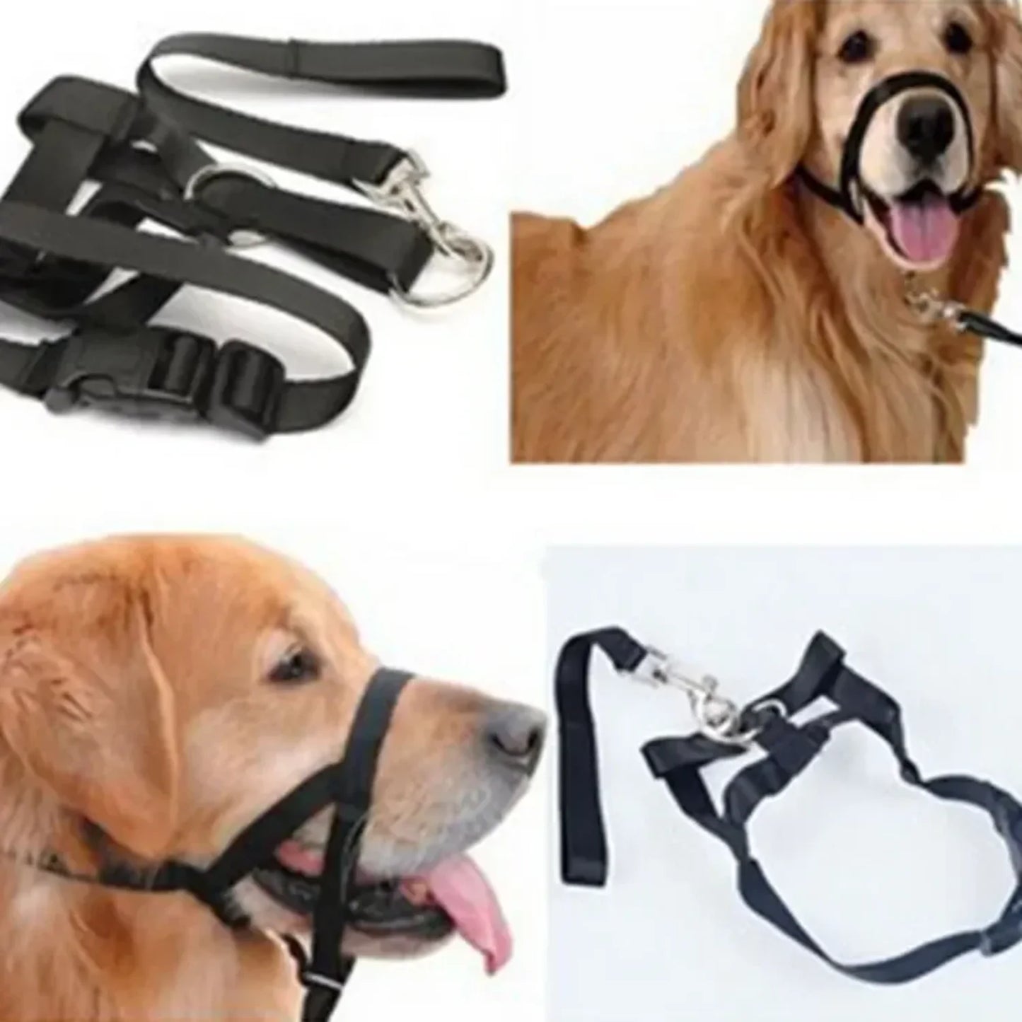 Adjustable Nylon Dog Muzzle Training Collar with Leash