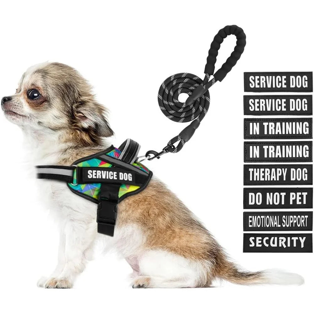 Service Dog Harness Leash Set Reflective No Pull Nylon for Puppies