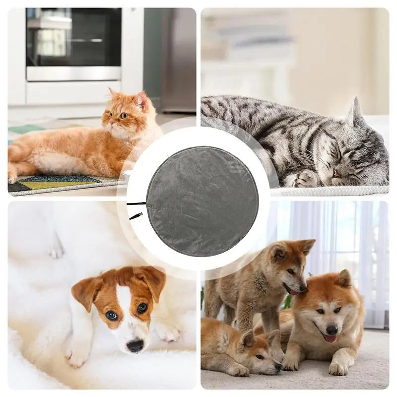 Electric Heated Pad For Dogs Indoor USB Safe Low Voltage Design