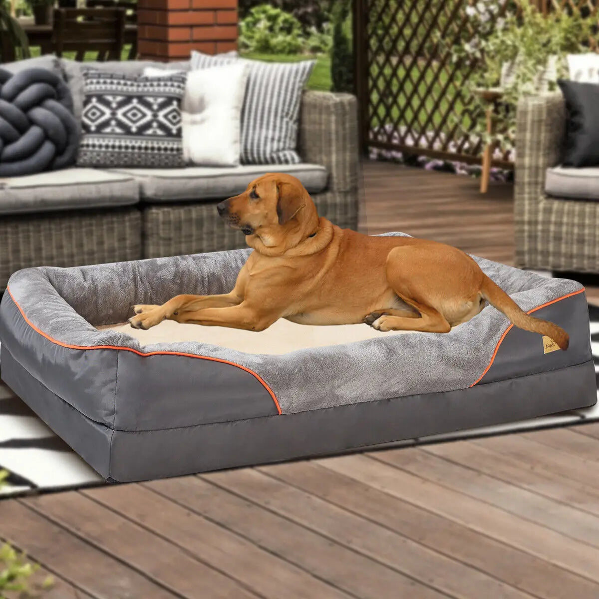 Dog Bed Super Soft Orthopedic Foam with Removable Washable Cover