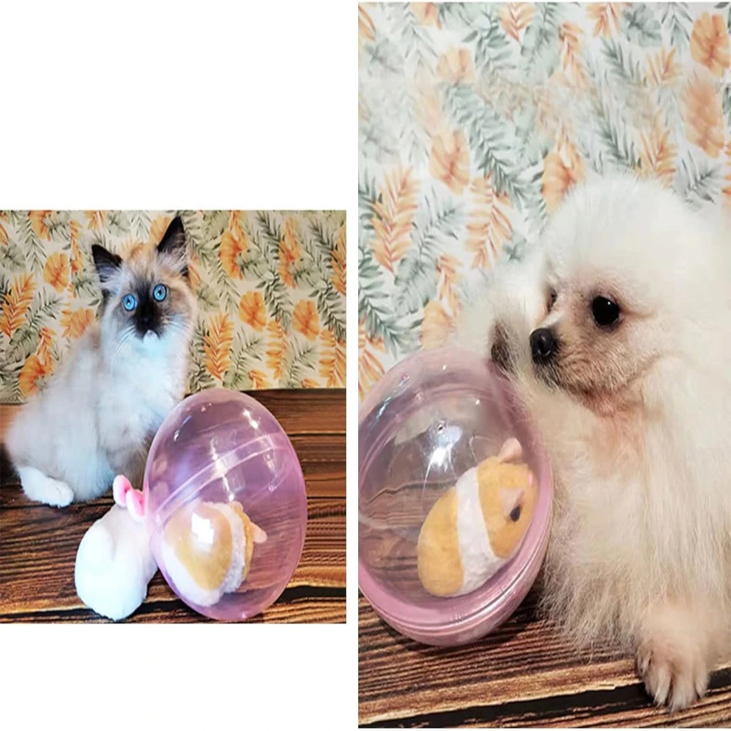 Exciting and Interactive Cat Toy