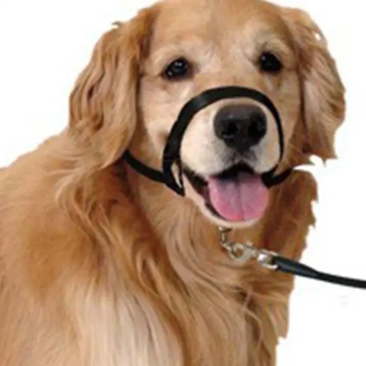 Adjustable Nylon Dog Muzzle Training Collar with Leash