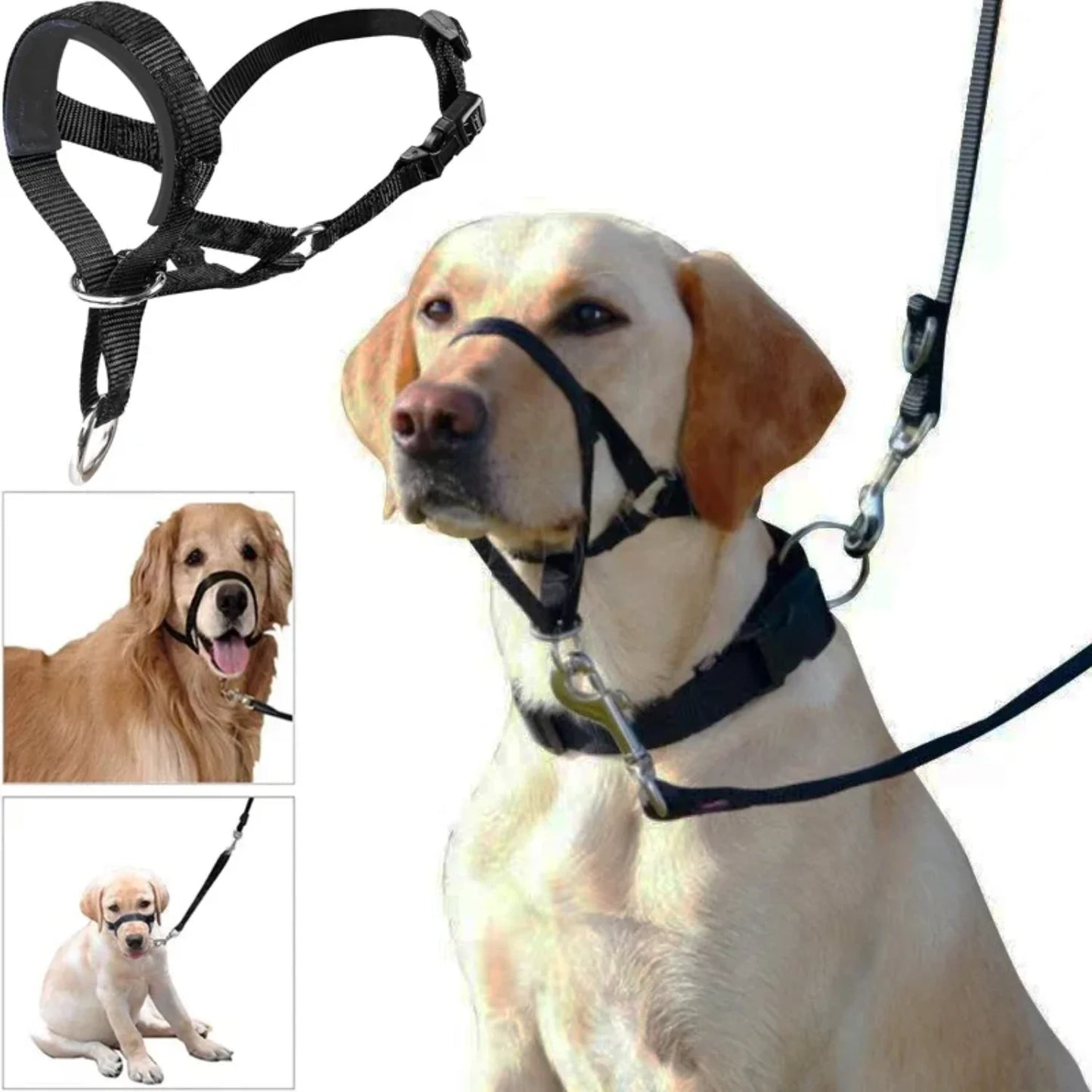 Adjustable Nylon Dog Muzzle Training Collar with Leash