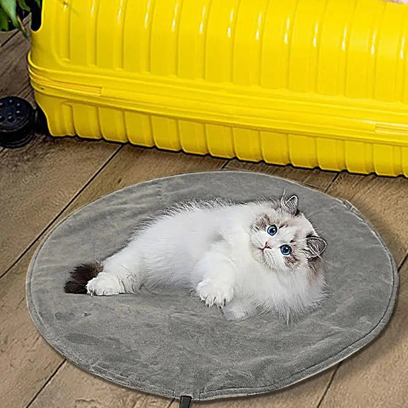 Electric Heated Pad For Dogs Indoor USB Safe Low Voltage Design
