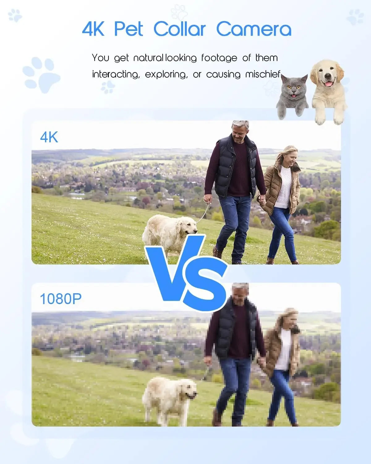 4K HD WiFi Cat Collar Camera With Pet Video Recording