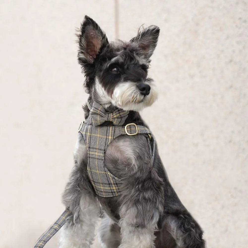 Cute Small Dog Harness Set Adjustable Soft Plaid Collar Leash Bowtie