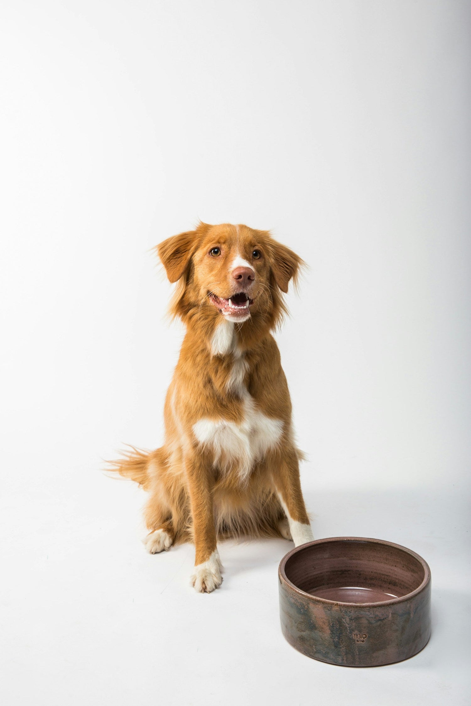 Bowls & Feeders