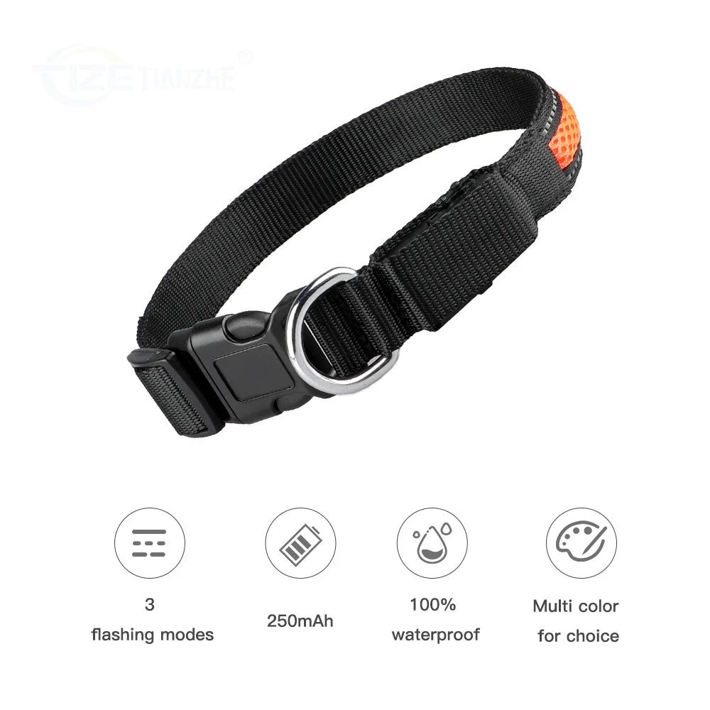 LED Dog Collar Luminous Safety Stylish Flashing Glow