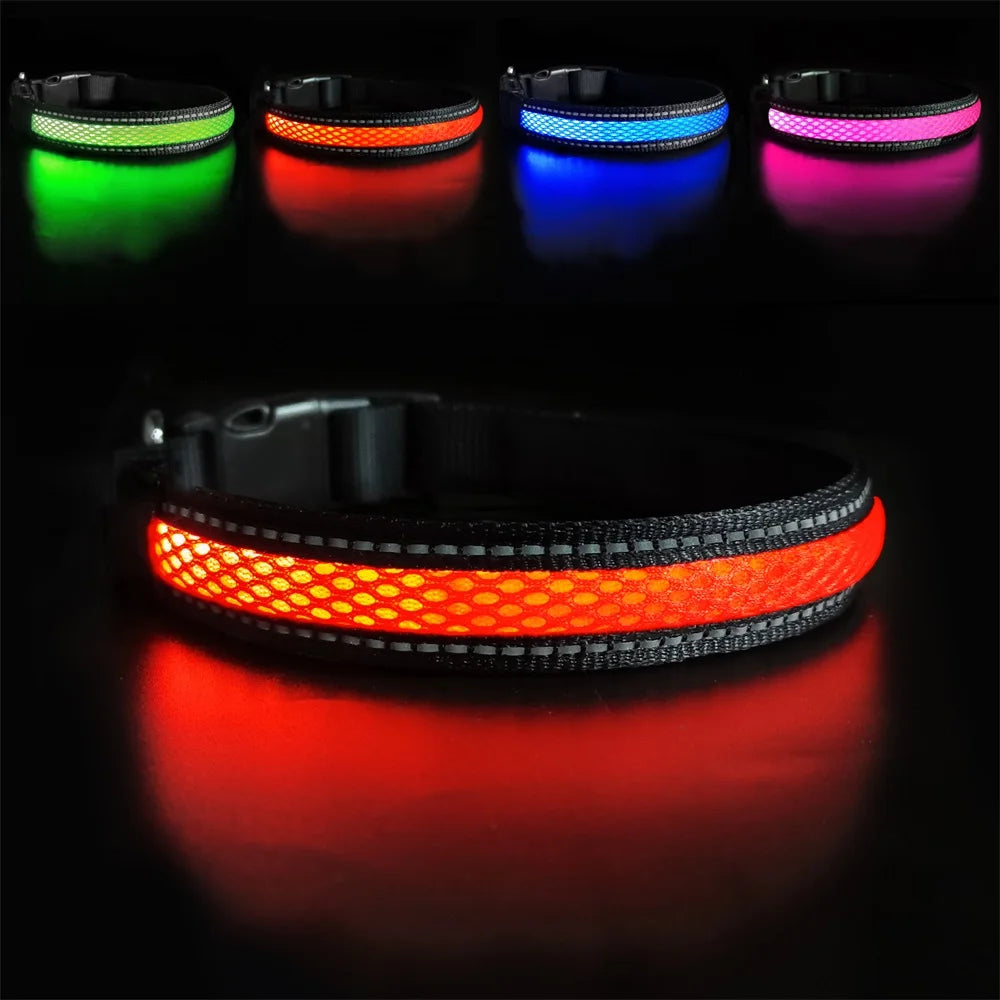 LED Dog Collar Luminous Safety Stylish Flashing Glow