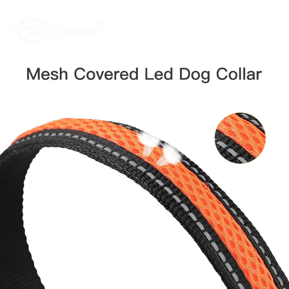 LED Dog Collar Luminous Safety Stylish Flashing Glow