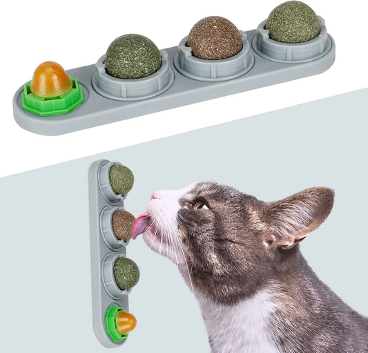 Natural Cat Bite Ball Toy Set for Playful Kittens