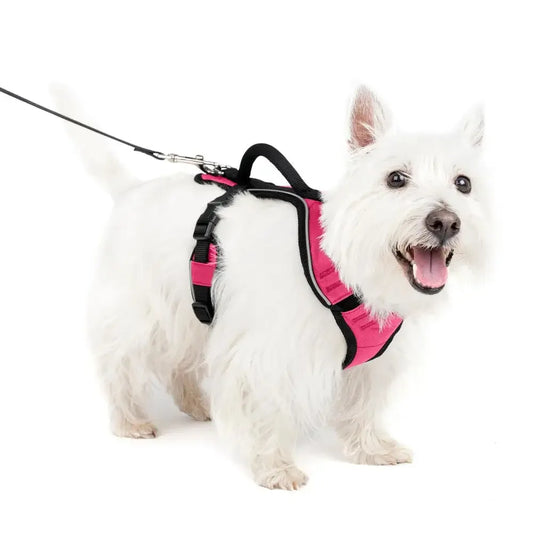 Lightweight Dog Harness Easy On Off Adjustable