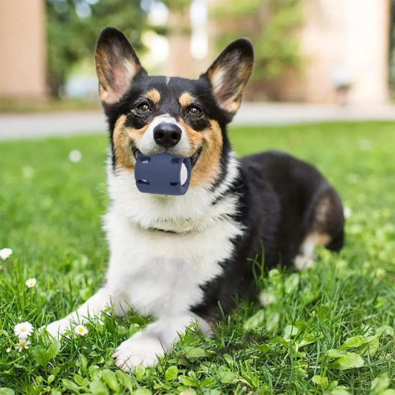 Puppy Teething Chew Ball Interactive Tumbling Puzzle