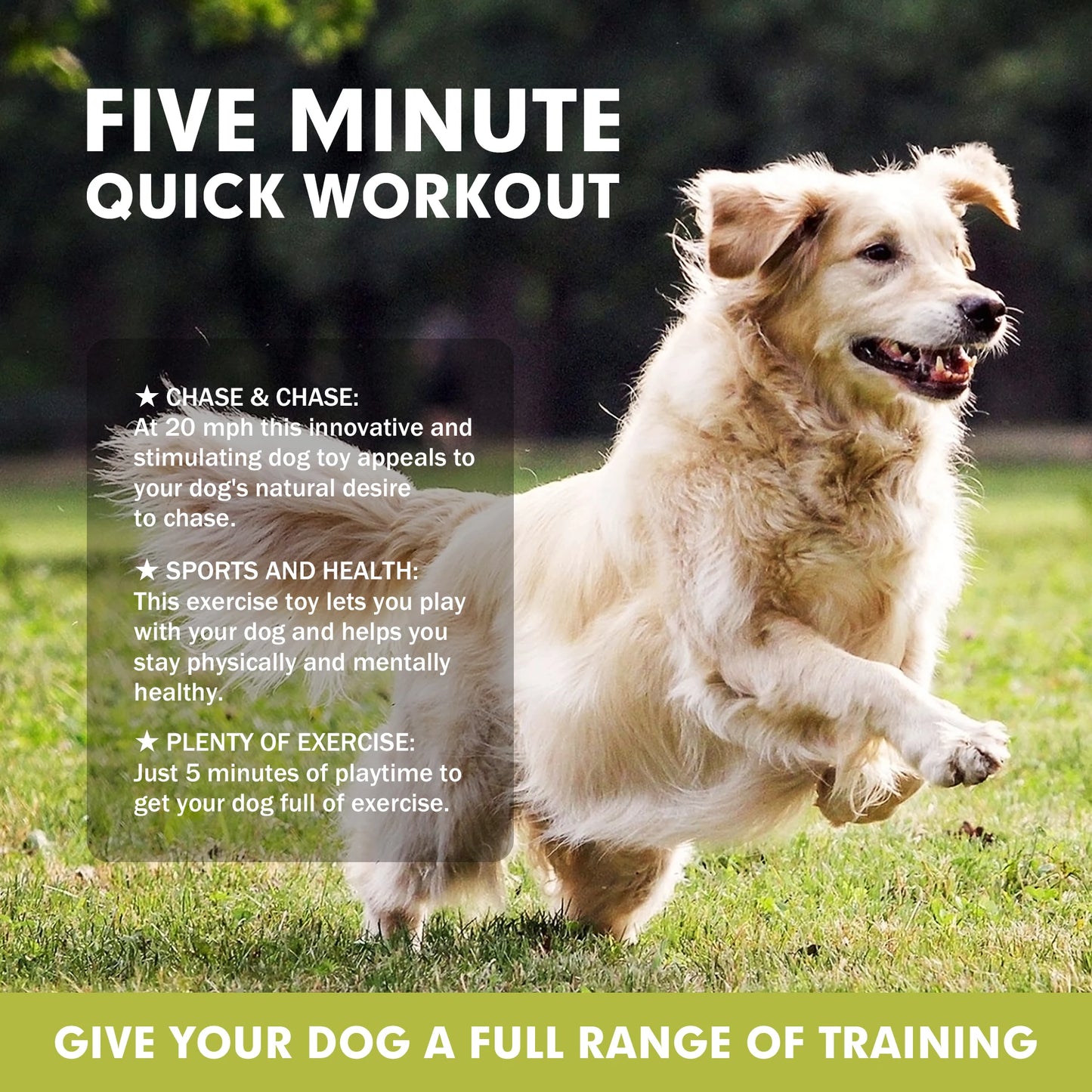 Lure Course Machine for Dogs, Agility Training