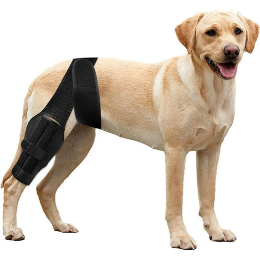 Dog Knee Brace For Support With Cruciate Ligament Injury Neoprene Adjustable Sleeve