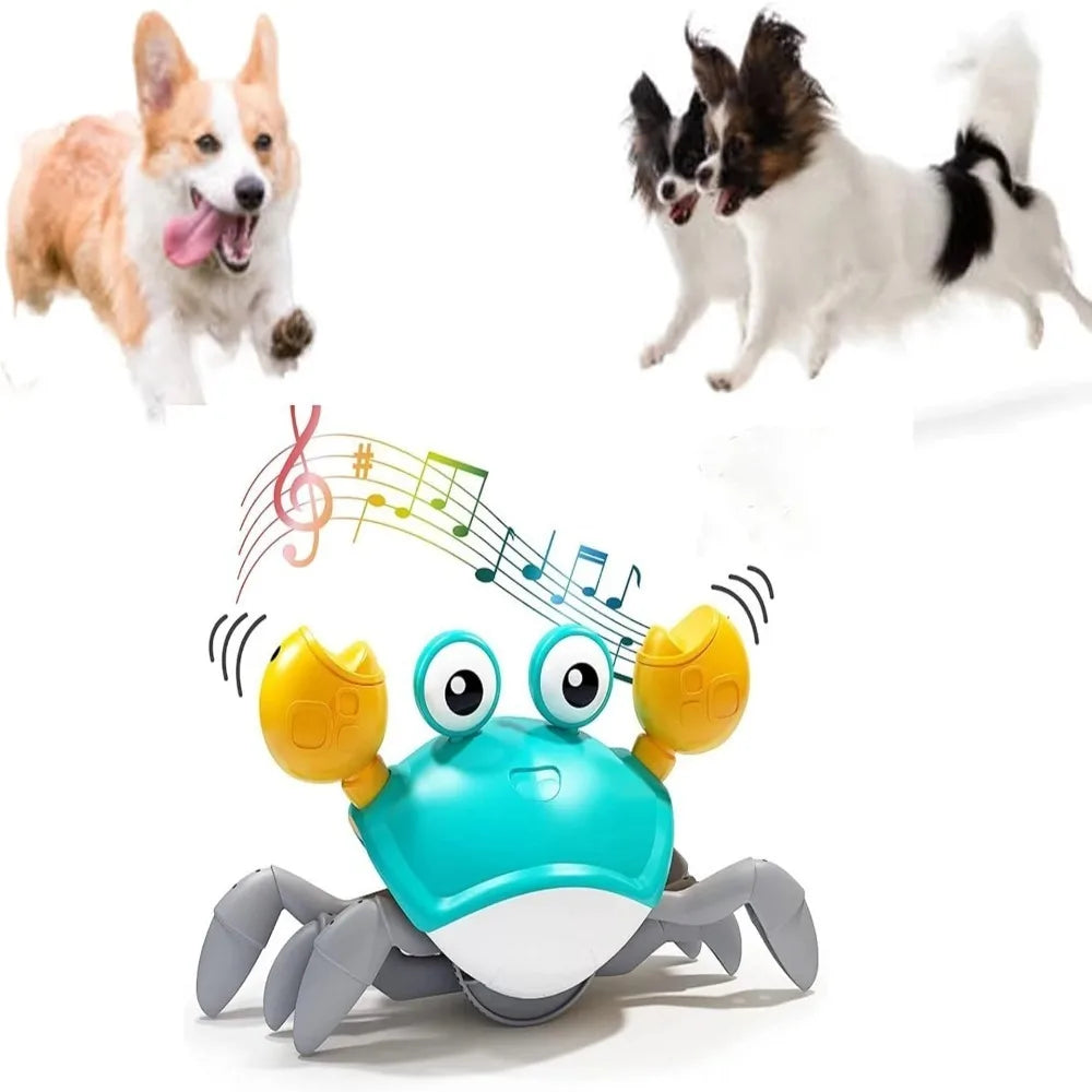 Interactive Dancing Crab Dog Musical Toy