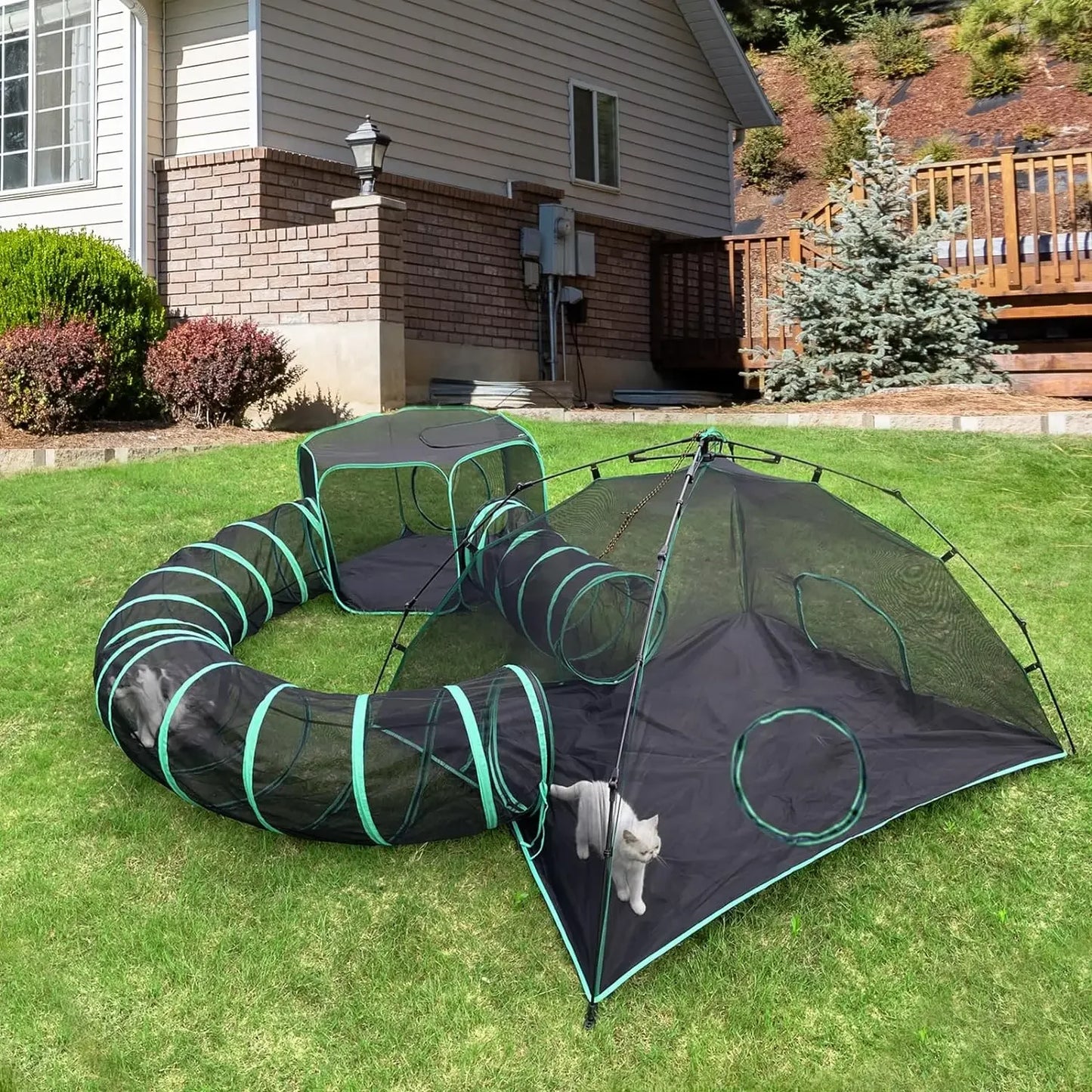 Outdoor Cat Play Tents and Tunnels 6 in 1 Cat Activity Set