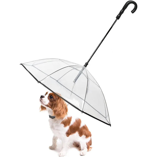 Multi Functional Transparent Dog Umbrella Leash for Puppies