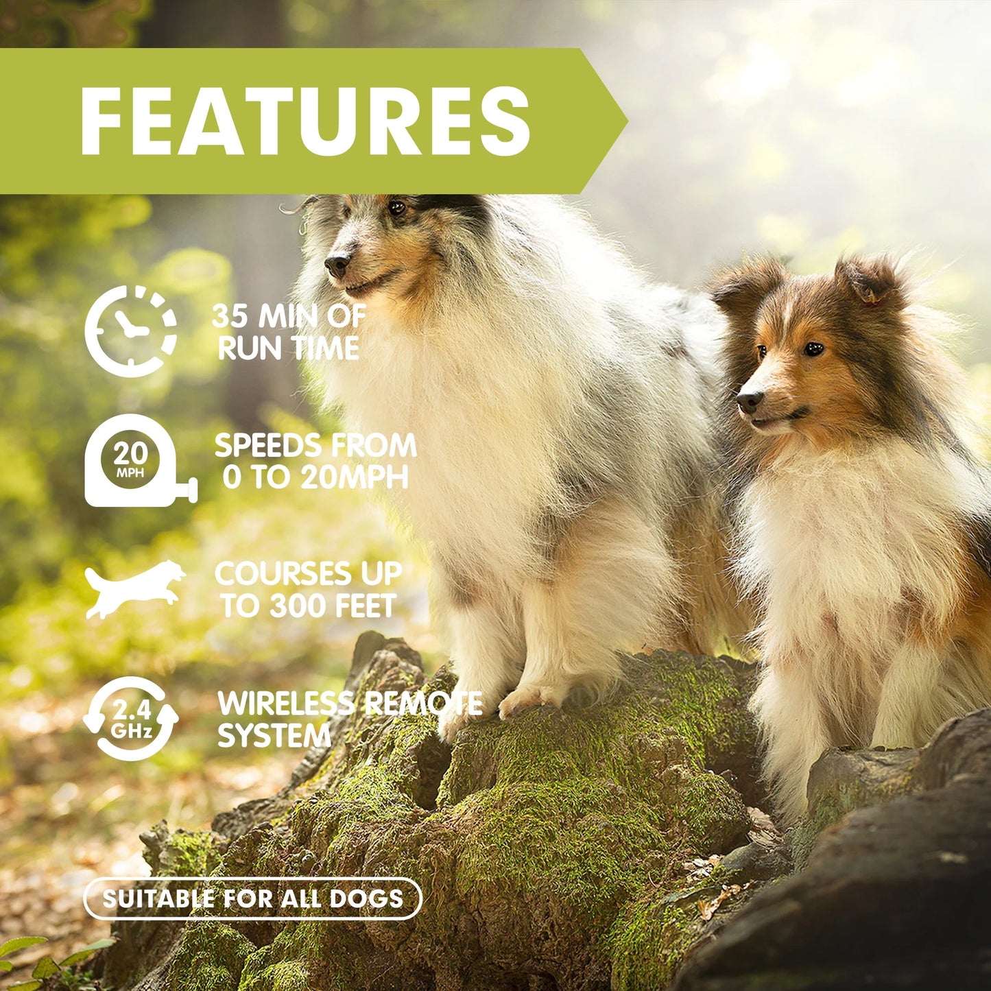Lure Course Machine for Dogs, Agility Training
