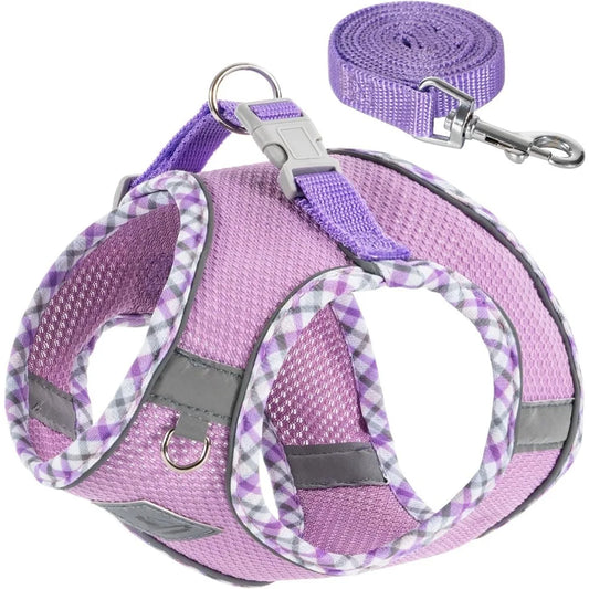Dog Harness and Leash Set for Small Dogs Lightweight and Breathable Jacquard Fabric