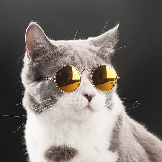 Small Round Pet Sunglasses Adorable and Charming