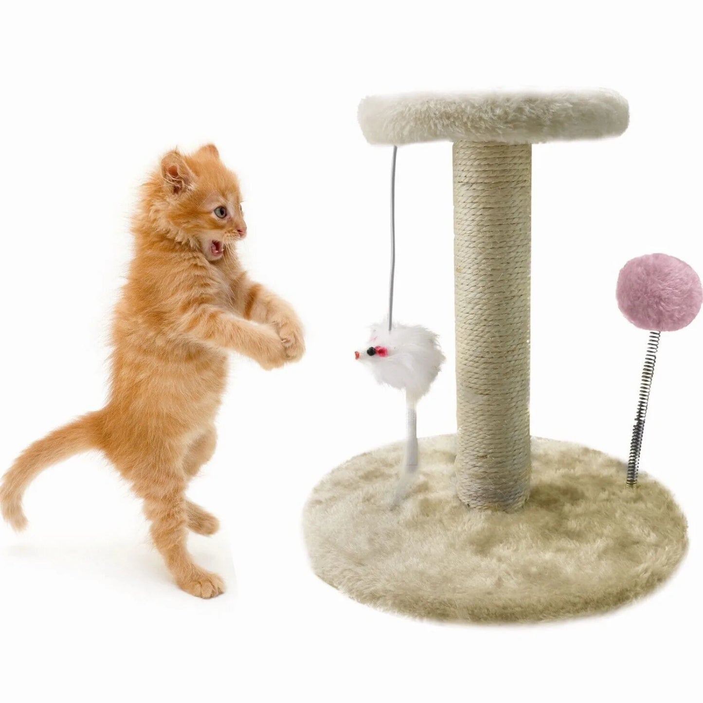 US Small Cat Tree Scratching Tower Post