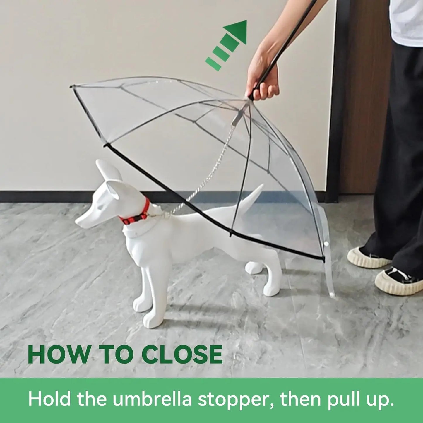 Multi Functional Transparent Dog Umbrella Leash for Puppies
