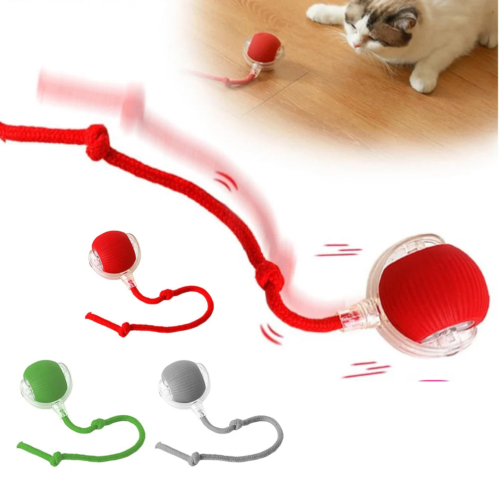 Smart Cat Toys Automatic Rolling Ball