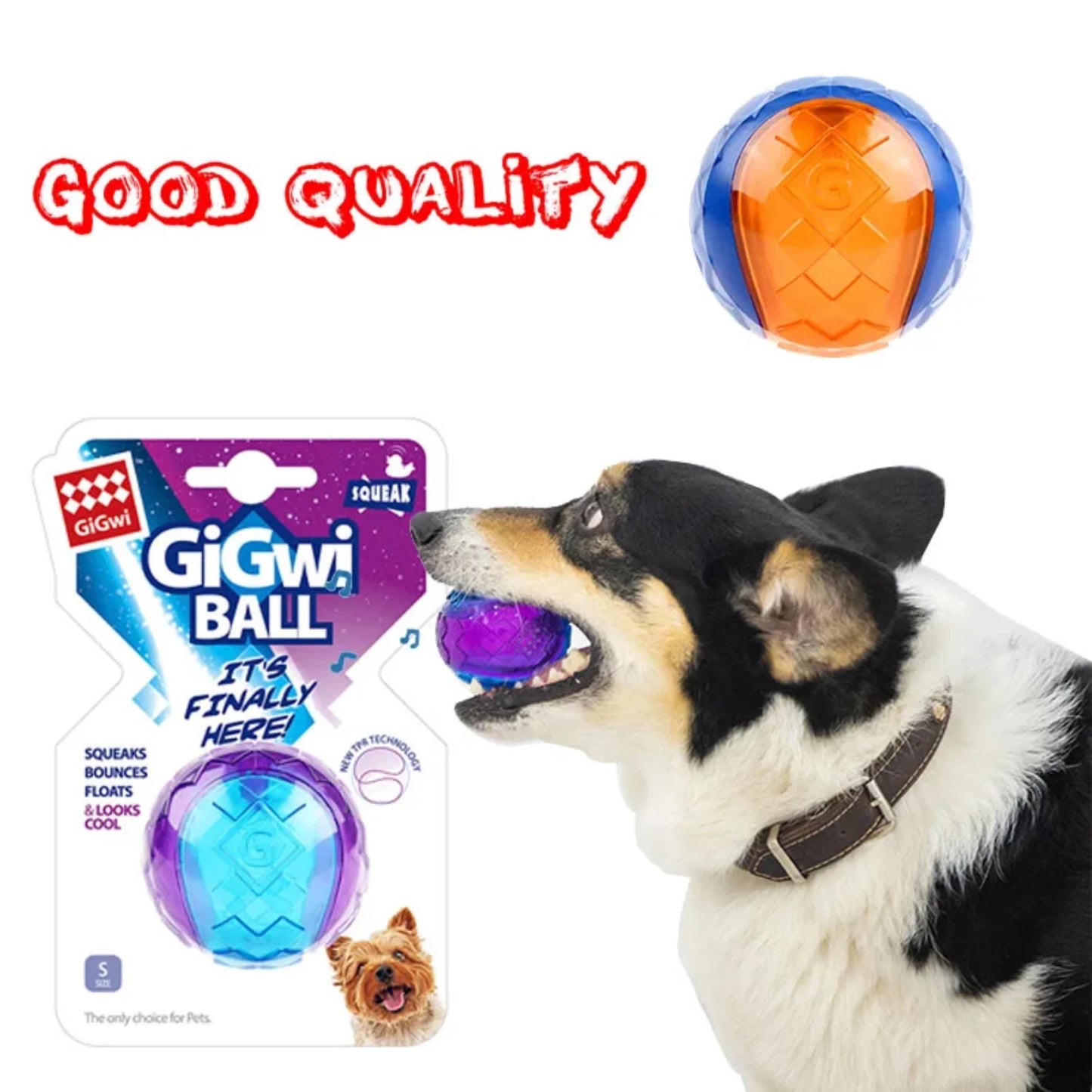 Squeaky Chew Toys Non-toxic